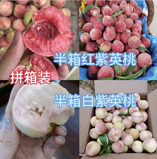 10斤箱蚂蚁山小乔庄紫英桃和白紫英各半拼箱包甜无酸涩苦味