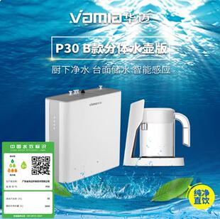 华迈净水器滤芯P30C款M3款原M2 C款100G反渗透集成水路技术滤芯44