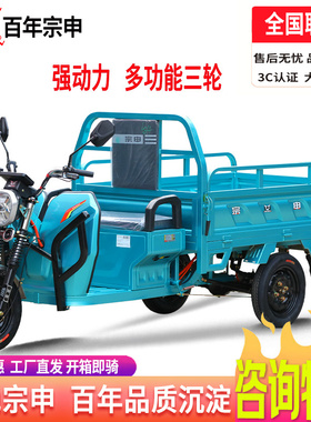宗申电动三轮车电瓶车快递车货运家用/农用载重摆摊拉货战马