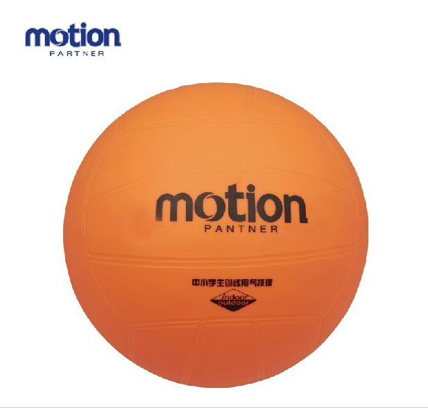 Ballon de volley - Ref 2010429 Image 1