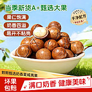 云南2025年新货夏威夷果500g