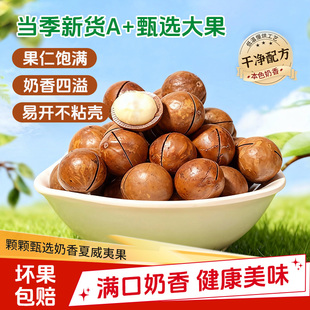 云南2025年新货夏威夷果500g