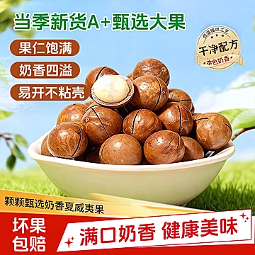 云南2025年新货夏威夷果500g