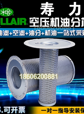 寿力LS16/LS20空压机保养配件02250061-137/138油气分防器油分芯