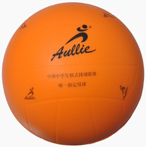 Ballon de volley-ball - Ref 2016308 Image 1