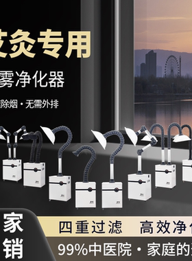 净兮艾灸净化烟雾吸烟除味大吸力