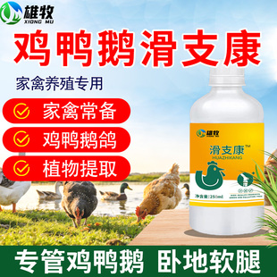 雄牧滑支康鸡鸭鹅药物性饲料添加剂植物提取家禽养殖养殖专用禽药
