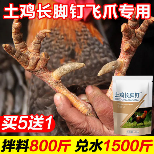 阉鸡长脚钉土鸡长飞爪长脚蹬子鸡冠催熟鸡冠长鸡爪猛长脚蹬王阉鸡