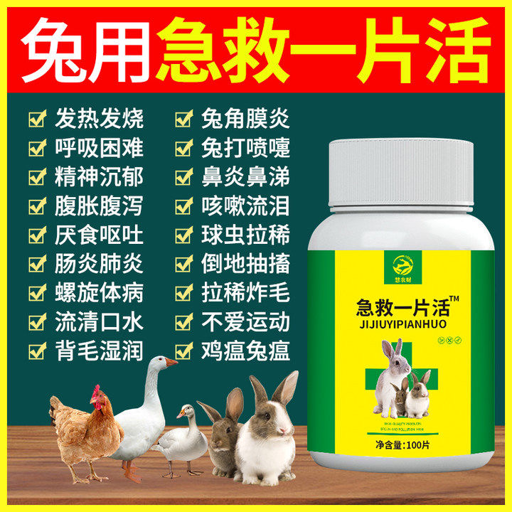 急救一片活兽用鸡鸭鹅兔子常备药预防感冒发烧腹胀拉稀兔子急救片