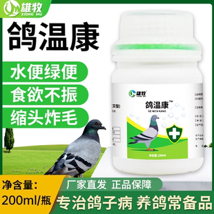 雄牧鸽温康鸽子拉便绿稀水便鸽子歪脖缩头炸毛黄白痢疾专用鸽疫清
