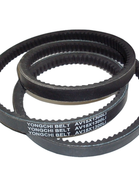 发动机皮带2695 D5010550411 5PK1258  AV15X1300Li