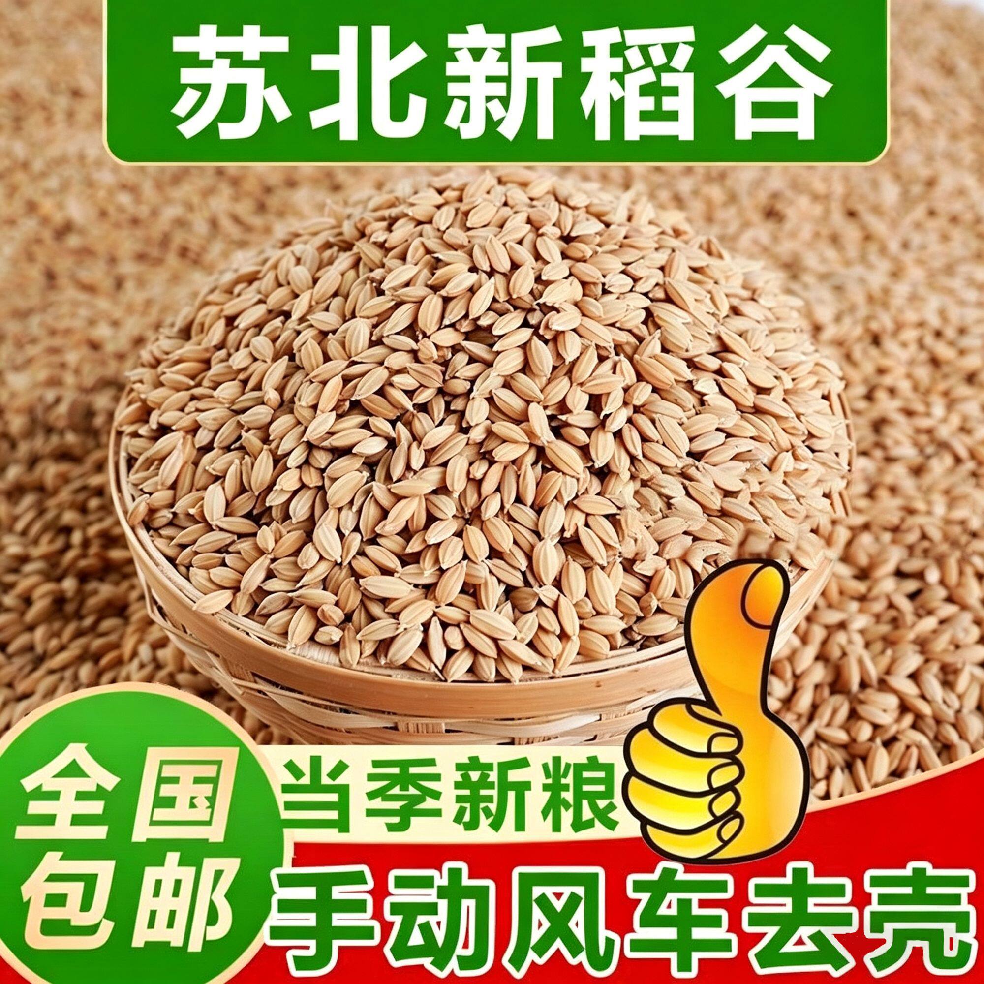 新稻谷圆稻谷50斤精选优质圆水稻带壳喂鸡鸭鹅等家禽垂钓包邮厂家