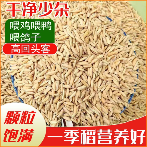 新茬20斤长稻谷喂鸡鸭鹅钓鱼打窝