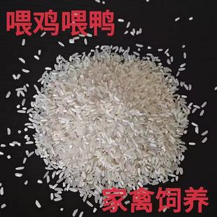 黄米50斤色选陈大米旧米次米饲料喂鸡喂鸭鸽子猪麻雀钓鱼打窝批发