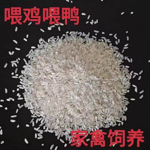 黄米50斤色选陈大米旧米次米