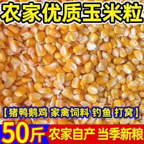 2025优质小颗粒玉米粒50斤装清仓批发喂鸡猪鸽子饲料原料钓鱼打窝