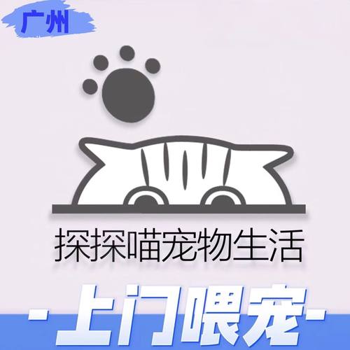 广州佛山春节旅游宠物上门喂养服务铲屎喂食清洁陪玩拍摄喂猫遛狗
