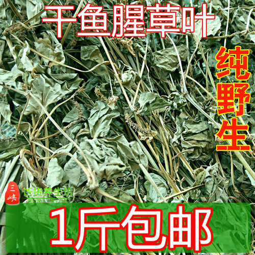 野生叶子农家自晒500g鱼腥草