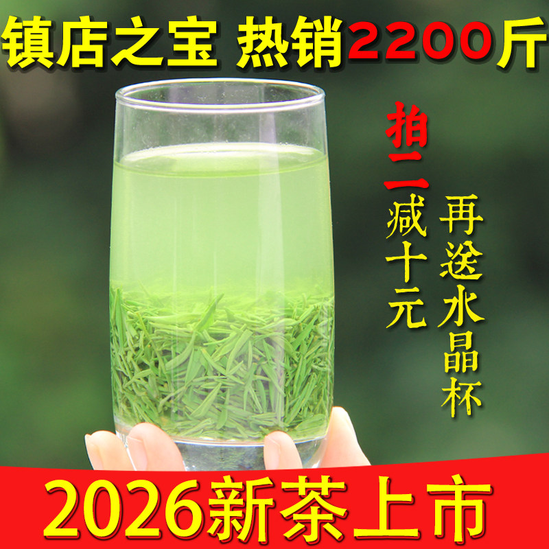 信阳毛尖2026新茶叶雨前春茶高山嫩芽浓香大山绿茶250g盒装毛尖茶