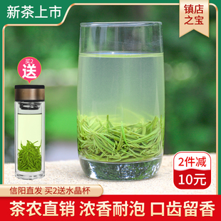 毛尖茶叶信阳毛尖2024新茶雨前高山浓香特级手工绿茶250g散装春茶