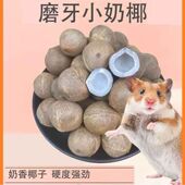 仓鼠金丝熊花枝鼠松鼠磨牙迷你小椰子宠物超小磨牙解闷小椰子零食