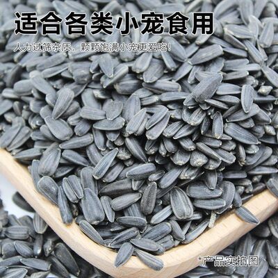 2024年新黑珍珠小瓜子葵花子油葵籽鹦鹉鸟食仓鼠粮鸽粮黑瓜子鸟粮