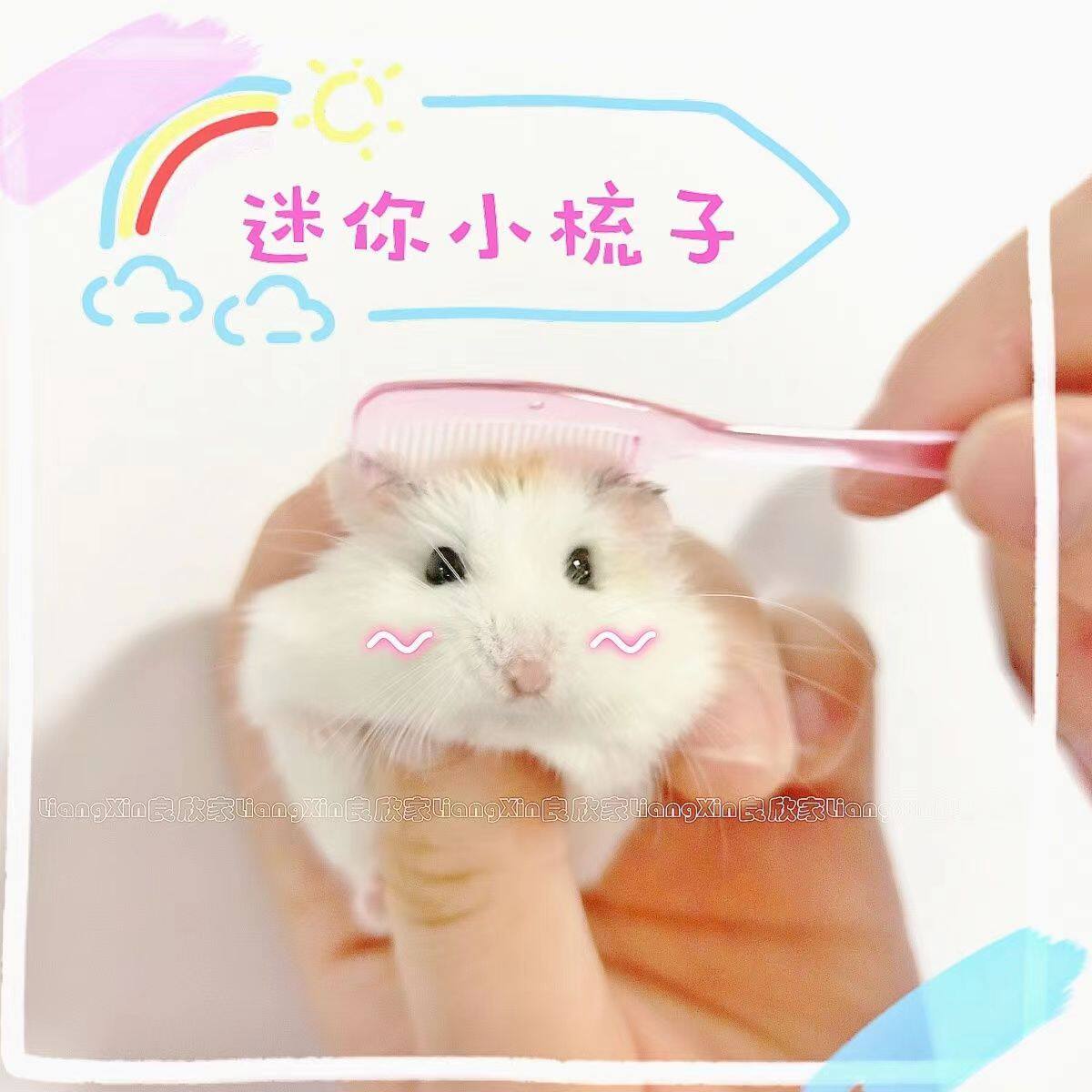 迷你小梳子仓鼠梳毛发掉毛脱毛金丝熊蜜袋鼯花枝鼠专用宠物用品