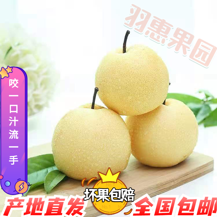 梨子山西贡梨非雪梨砀山梨新鲜水果整箱孕妇可吃3斤试吃包邮