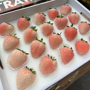 上海闪送 日本引进品种淡雪粉玉天使白草莓礼盒 特大新鲜孕妇水果