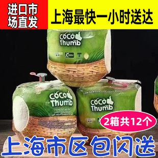 泰国易开椰青KFRESH 椰果体2箱共12个 上海进口市场直发 上海闪送
