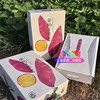 现货倍浓日本品种安纳芋蜜薯新鲜红薯1箱5斤全国航空包邮