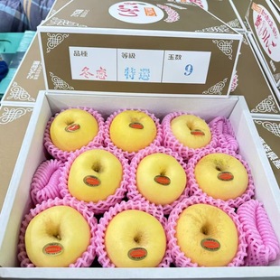 日本引进品种冬恋苹果脆甜多汁 7-9粒装新鲜现货上海市区闪送