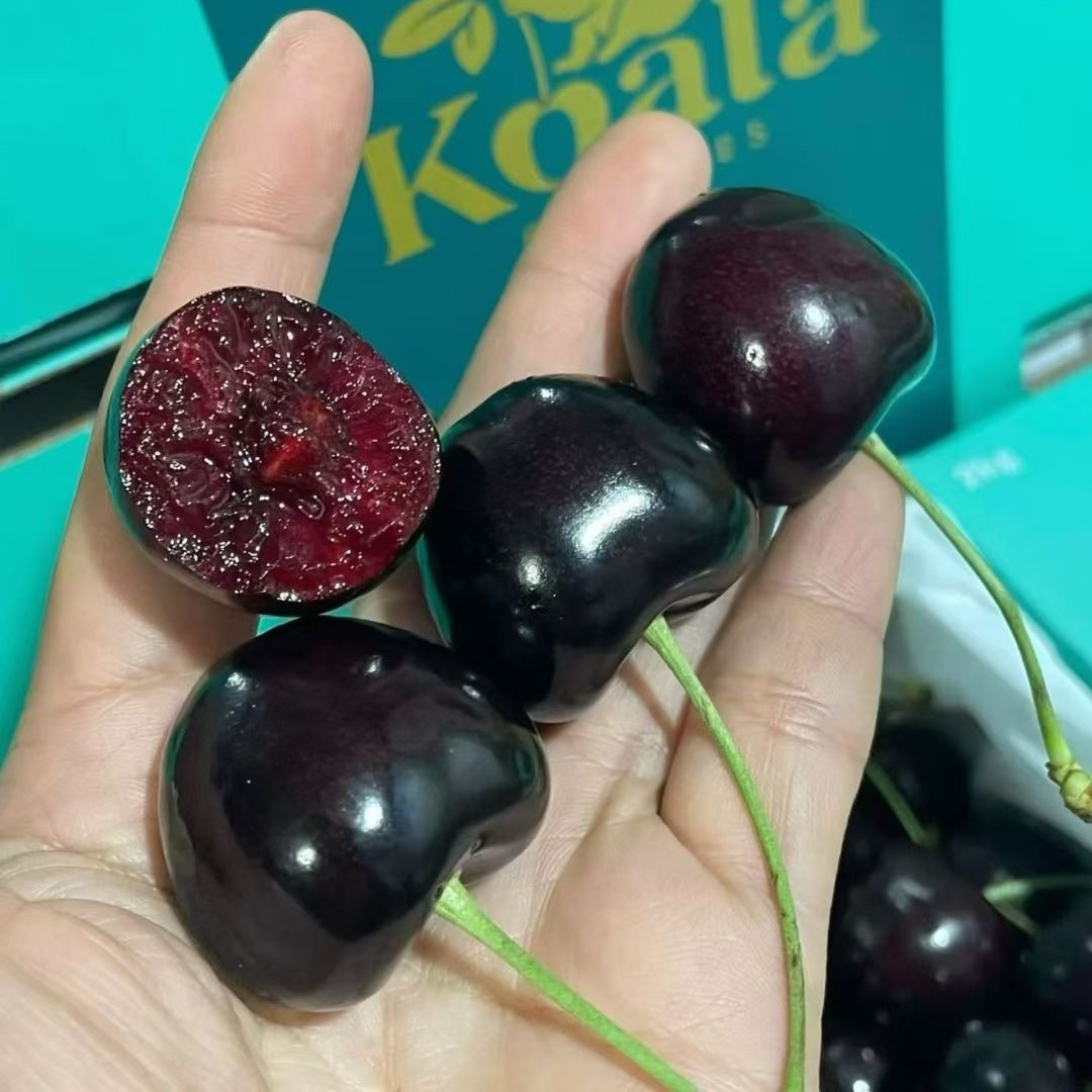 科迪亚澳洲进口车厘子新鲜黑珍珠特大樱桃4斤原箱礼盒装上海闪送,水产肉类/新鲜蔬果/熟食,车厘子/樱桃,淘宝优惠券,粉丝福利购,淘宝优惠卷