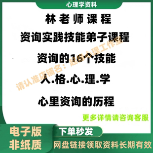 咨询实践技能弟子课 咨询的实战16个技术家庭 林老师课程