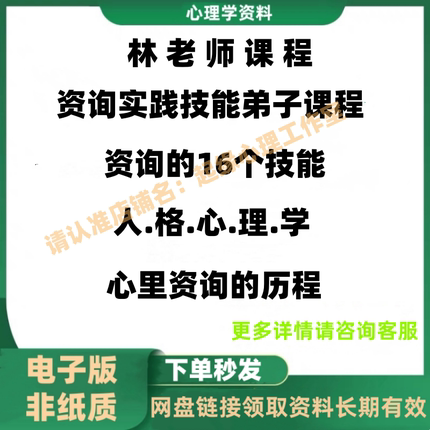 咨询实践技能弟子课 咨询的实战16个技术家庭 林老师课程