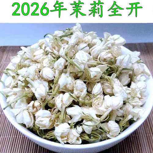 2026广西横州发货茉莉全开100克