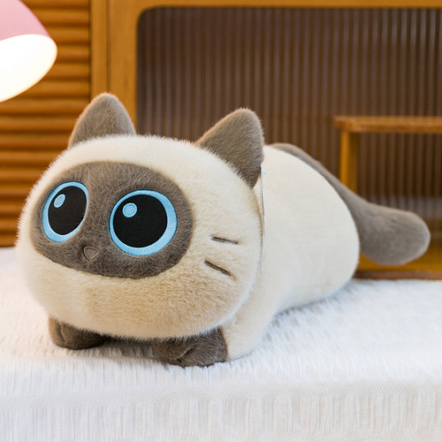 软软趴猫治愈系大眼邂罗猫