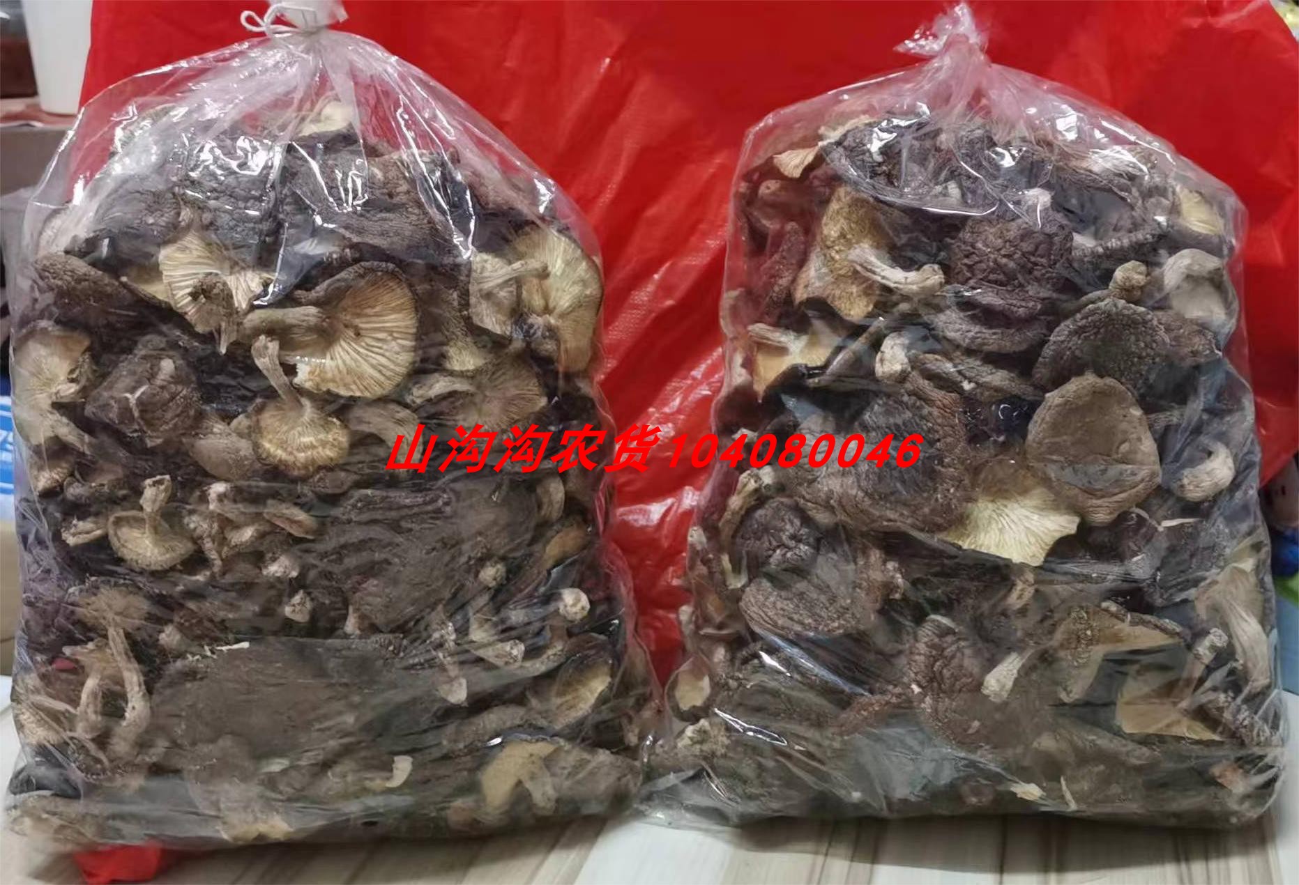 福建三明宁化农家天然香菇 干货椴木菌种 干香菇特产500g包邮