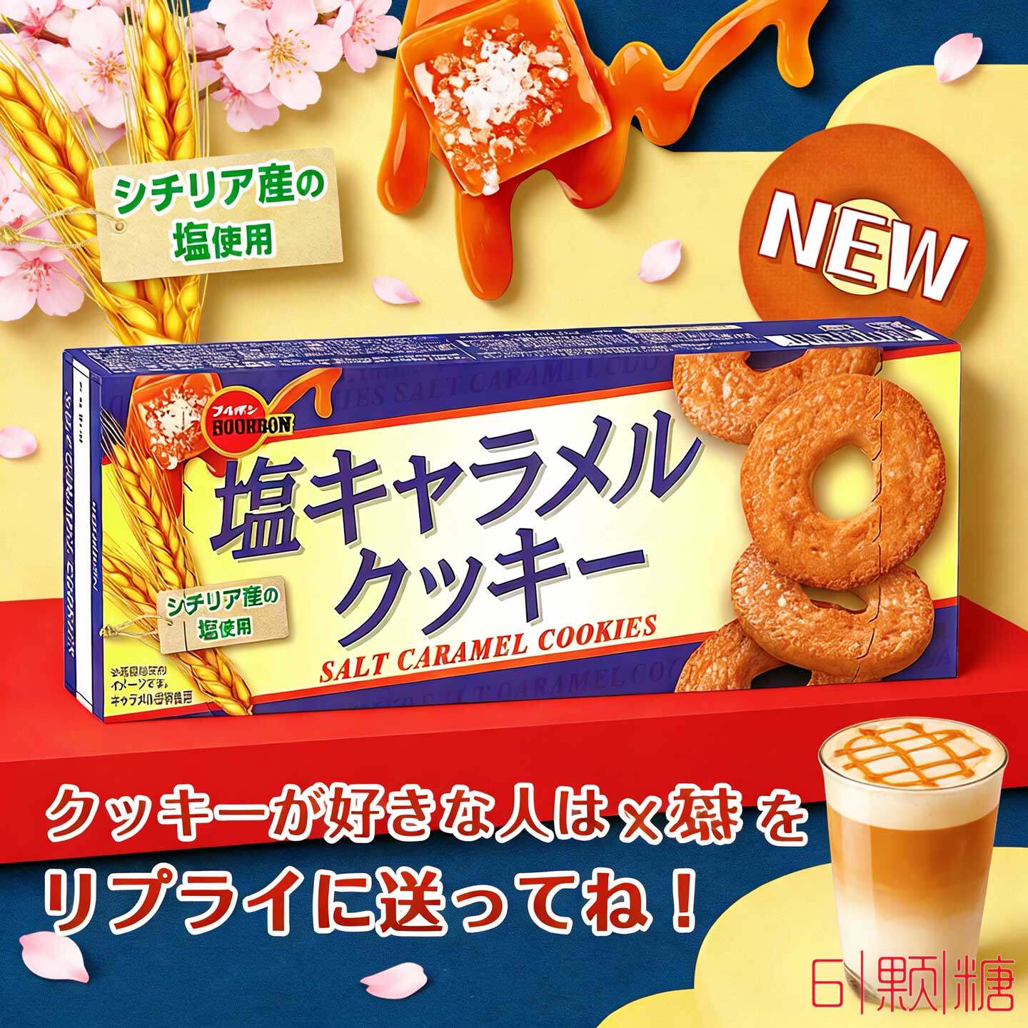日本进口零食布尔本岩盐焦糖黄油味曲奇饼干脱脂咖啡巧克力全麦饼
