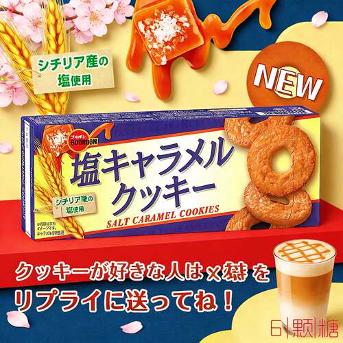 日本进口布尔本岩盐焦糖曲奇