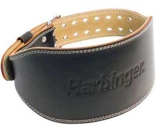 香港进口 Harbinger 285 6