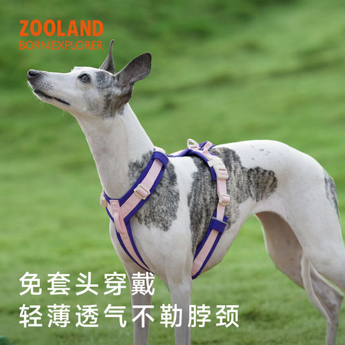 zooland幼小中大型犬牵引绳胸背