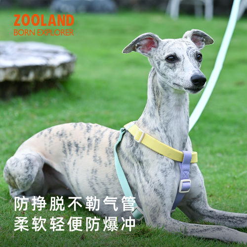 zooland可调节狗狗牵引绳胸背带