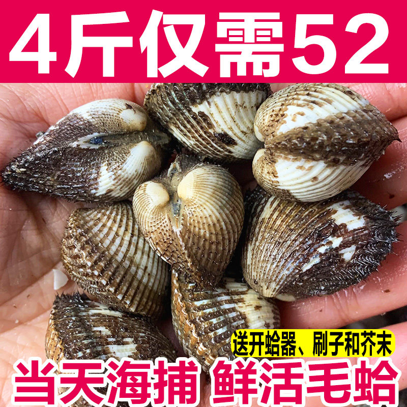 鲜活毛蛤蜊新鲜毛蚶无沙海捕血蛤贝类水产海鲜4斤装