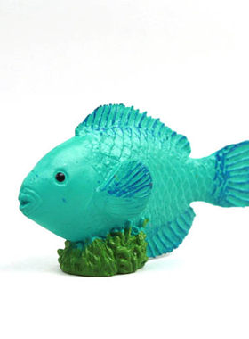 safari 正品儿童认识模型玩具 海洋生物摆件 鹦嘴鱼 淡水鱼 鲤鱼