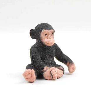 safari 正品仿真动物模型玩具 野生动物 黑猩猩