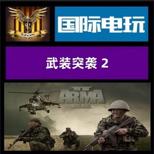 Steam PC正版游戏 全球key 武装突袭2 Arma 2 激活码