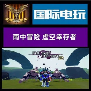 全球key 雨中冒险 Rain PC正版 游戏 Risk Steam 虚空幸存者