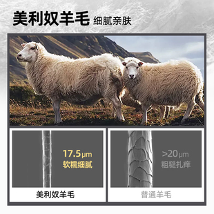 户外徒步登山运动休闲透气弹力内搭长 25新款 诺诗兰功能长裤 男士