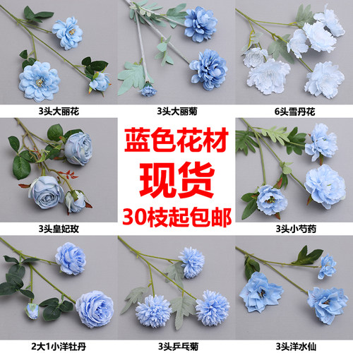 仿真花乒乓菊素材模板 仿真花乒乓菊图片下载 小麦优选